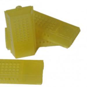 Gabbietta nicot per trasporto api regine