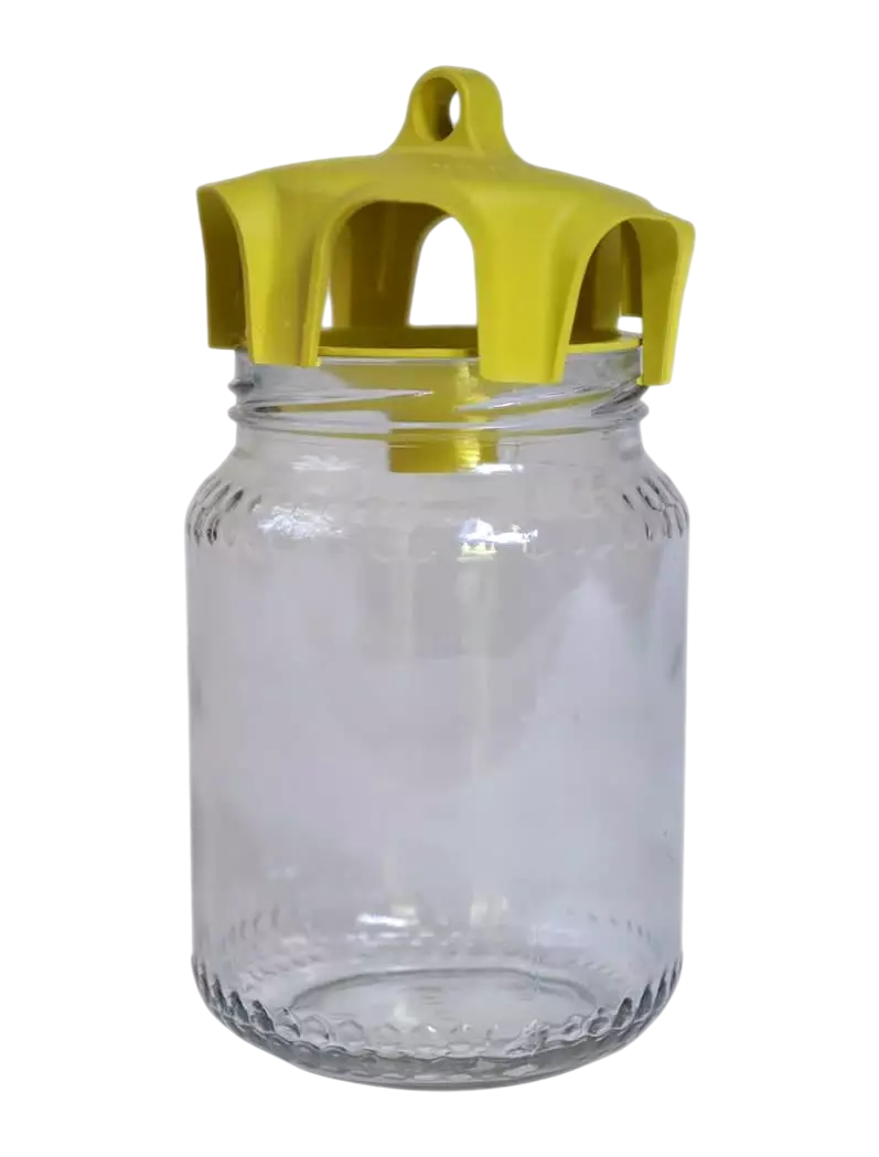 Trappola vasetto montata su barattolo vetro uso apiario