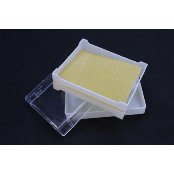 favetto in plastica bianco con foglio cereo e coperchio trasparente pronto per miele in favo