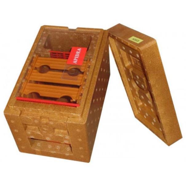 Interno arnietta Apidea con telaini plastica montati